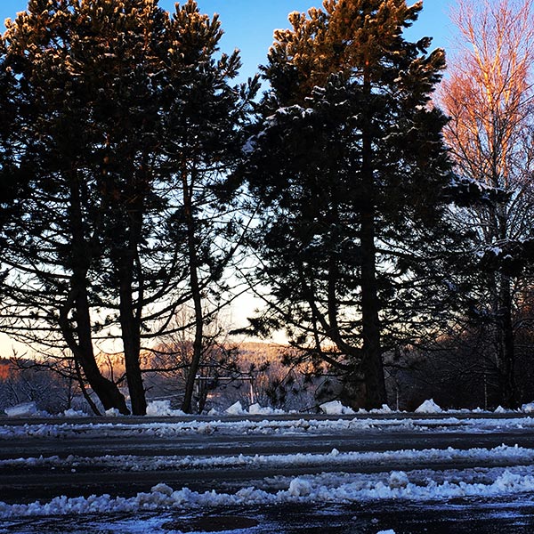 1_vinter